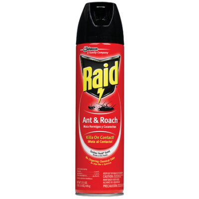 Raid® Ant & Roach Killer Outdoor Fresh®