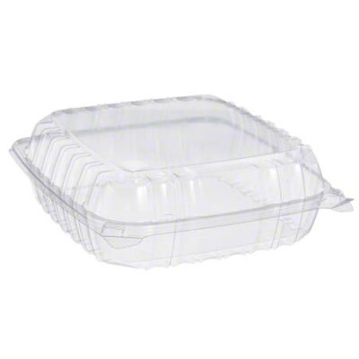 Clear Large Hinged Container